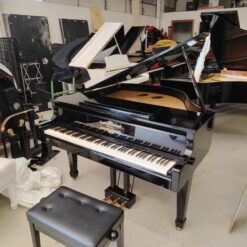 Roland GP609 Codino Digitale Occasione Usato